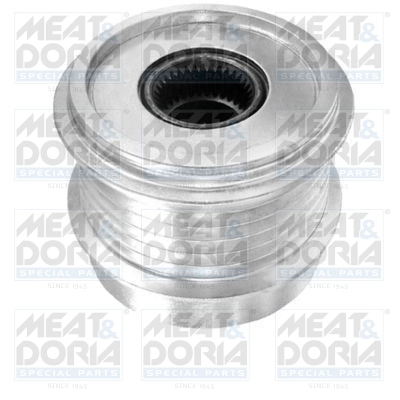 Alternator Freewheel Clutch